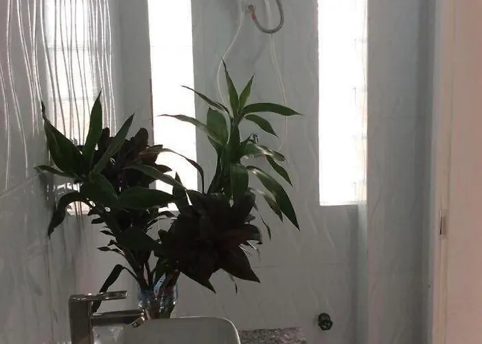 A Two-bedroom With Natural Light And Environment
